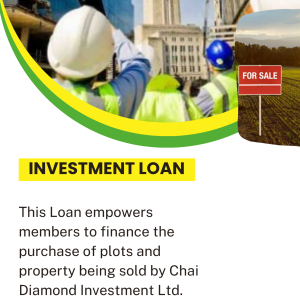 Investment Loan